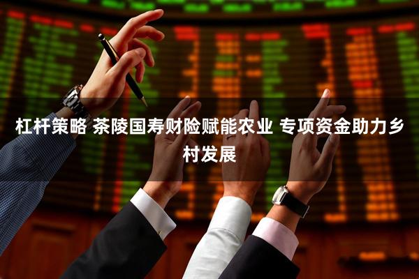杠杆策略 茶陵国寿财险赋能农业 专项资金助力乡村发展